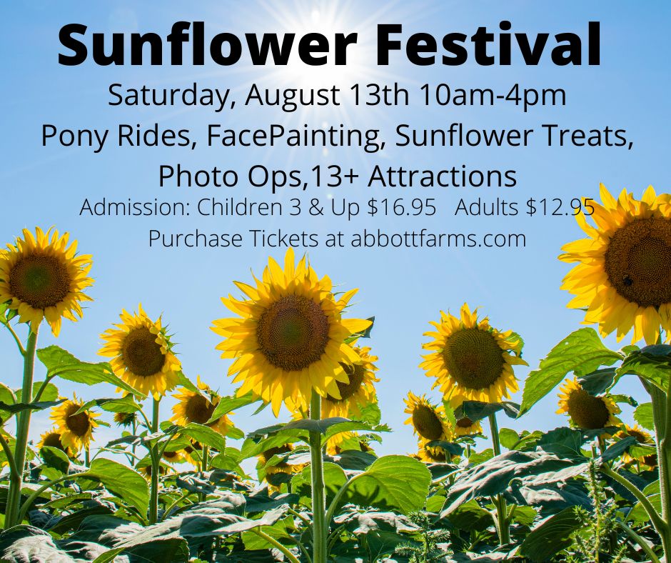 Sunflower Festival 2022